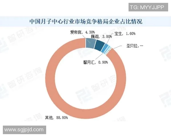 月嫂行业发展现状与未来趋势探讨：从服务内容到职业培训全方位解析