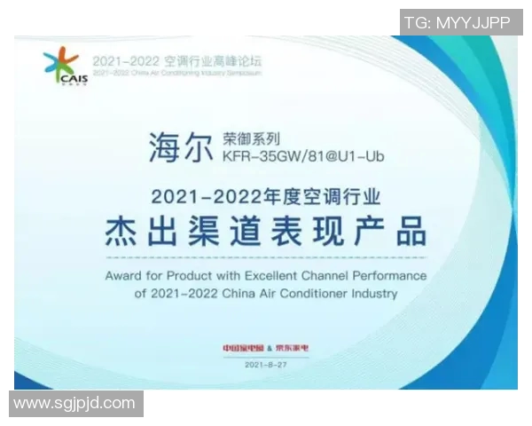 北京飞盘队快攻革新之路探索与实践的深度分析与启示