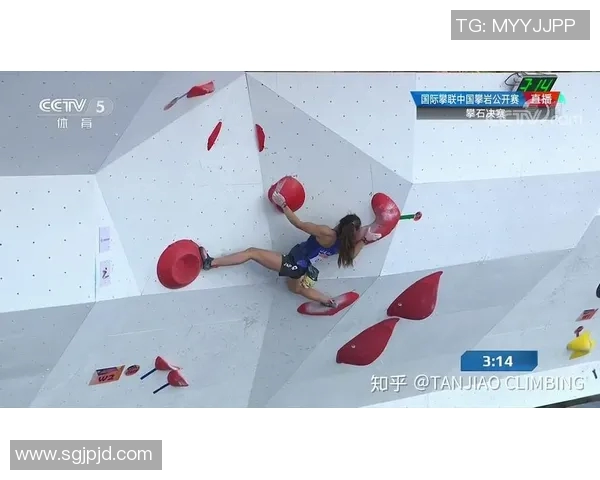 杭州攀岩队个人能力表现数据分析与提升策略探讨