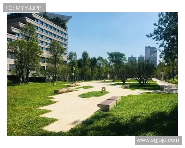 深圳与上海极限运动队赛后复盘团队协作的成功与不足分析 深圳与上海极限运动队赛后复盘团队协作的成功与不足分析