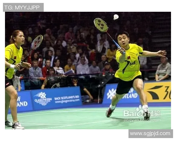 南京羽毛球队区域防守战术深度分析与实战应用探讨