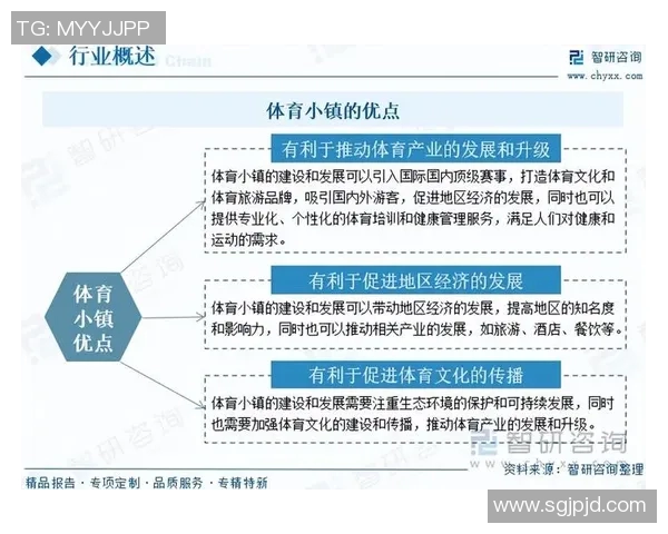 聚焦M体育发展趋势与创新模式探索推动体育产业新篇章