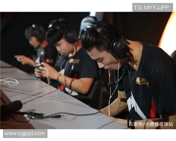 LNG在精英赛中的实力展现与战术分析全面解读