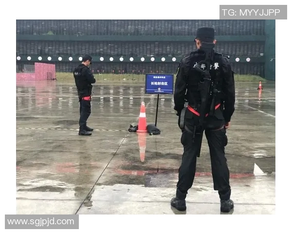 杭州极限运动队如何通过战术创新实现进攻模式的全面升级与突破